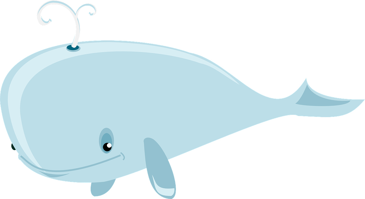 whale